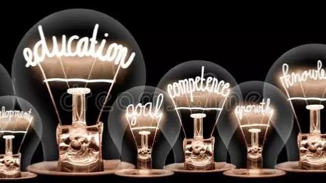large group light bulbs shining fibers shape education knowledge goal skill concept related words isolated 160181388
